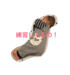 たいせいです〜まだ寝返らないもん〜（個別スタンプ：1）