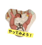 たいせいです〜嬉しいんだもん〜（個別スタンプ：7）