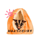ももちゃんの日常会話（個別スタンプ：1）