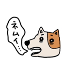 しゃべるどうぶつたち（個別スタンプ：9）