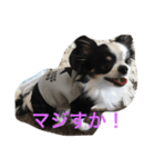 リョウくん。（個別スタンプ：2）