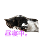リョウくん。（個別スタンプ：7）