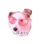 癒しの犬。（個別スタンプ：4）
