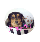 ひろひろ（個別スタンプ：4）