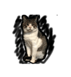 his name is Funyakichi（個別スタンプ：1）