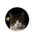 his name is Funyakichi（個別スタンプ：2）