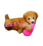 ぼく、うに。（個別スタンプ：2）