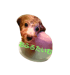 ぼく、うに。（個別スタンプ：8）