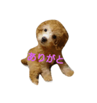 ぼく、うに。（個別スタンプ：16）