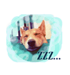犬と猫 ほんわか日常スタンプ（個別スタンプ：7）