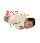 こたこたすたんぷ1（個別スタンプ：12）