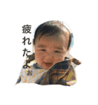 こたこたすたんぷ1（個別スタンプ：19）