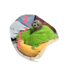 真性ホットドッグ（個別スタンプ：4）