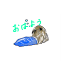 淡水魚だよ！コリドラスちゃん（個別スタンプ：5）