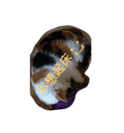 ボーリング猫の憂鬱（個別スタンプ：7）