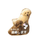 キュートなトイプードルたち（個別スタンプ：25）