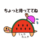 亀のカメタ（個別スタンプ：2）