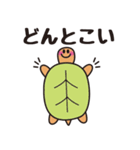亀のカメタ（個別スタンプ：5）
