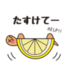 亀のカメタ（個別スタンプ：25）