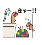 亀のカメタ（個別スタンプ：27）