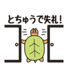 亀のカメタ（個別スタンプ：32）