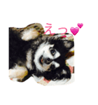 viviだらけ（個別スタンプ：1）