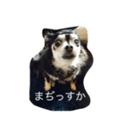viviだらけ（個別スタンプ：2）