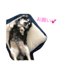 viviだらけ（個別スタンプ：3）