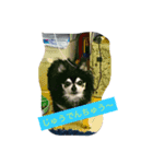 viviだらけ（個別スタンプ：6）