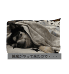 viviだらけ（個別スタンプ：7）