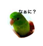マメルリハ らぶ（個別スタンプ：2）
