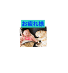 rrrrrrrri（個別スタンプ：13）