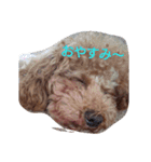 p1010（個別スタンプ：5）