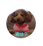 p1010（個別スタンプ：10）