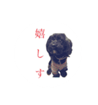 ヌーク（個別スタンプ：5）