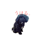 ヌーク（個別スタンプ：11）