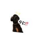 ヌーク（個別スタンプ：13）