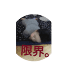 おうのすけ（個別スタンプ：3）