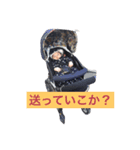 おうのすけ（個別スタンプ：4）