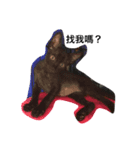 Cut Catcat（個別スタンプ：3）