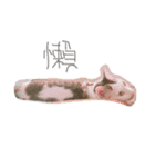 Cut Catcat（個別スタンプ：8）