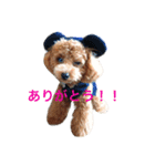 アイドル犬・エソラくん Ver.1（個別スタンプ：4）