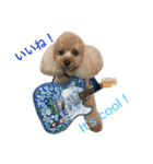 アイドル犬・エソラくん Ver.1（個別スタンプ：6）