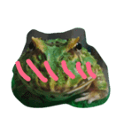 happy frogs and their daily（個別スタンプ：1）