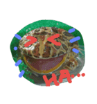 happy frogs and their daily（個別スタンプ：2）