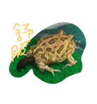 happy frogs and their daily（個別スタンプ：4）