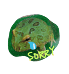 happy frogs and their daily（個別スタンプ：7）