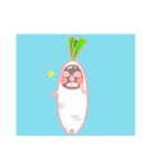 Robert( radish)（個別スタンプ：24）