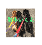 ダックス好きにはたまらない（個別スタンプ：5）