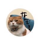 はい はい（個別スタンプ：4）